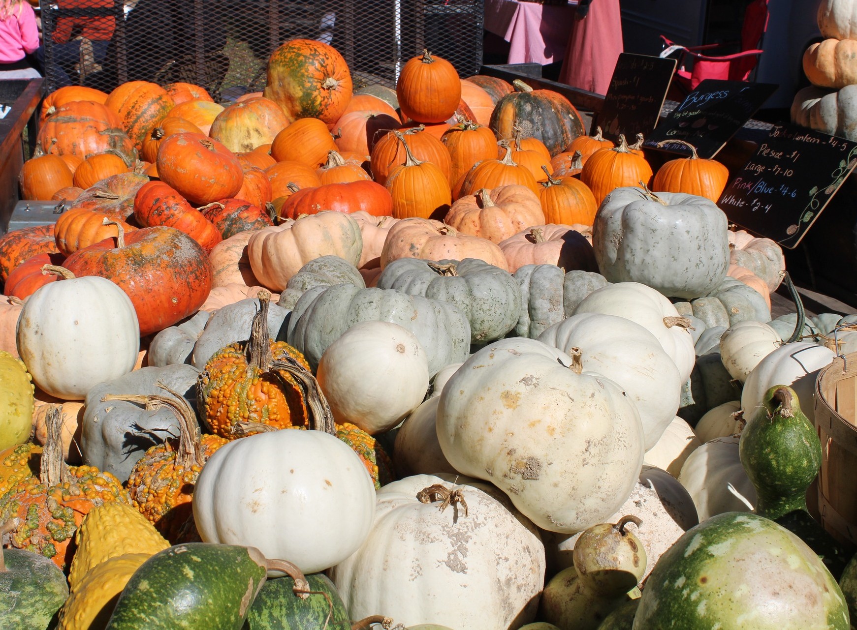 pumpins all stacked